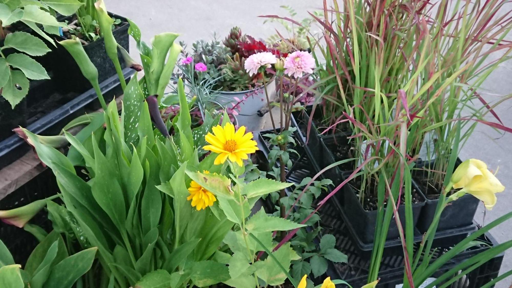 Colborne Bed And Breakfast Goderich Bagian luar foto